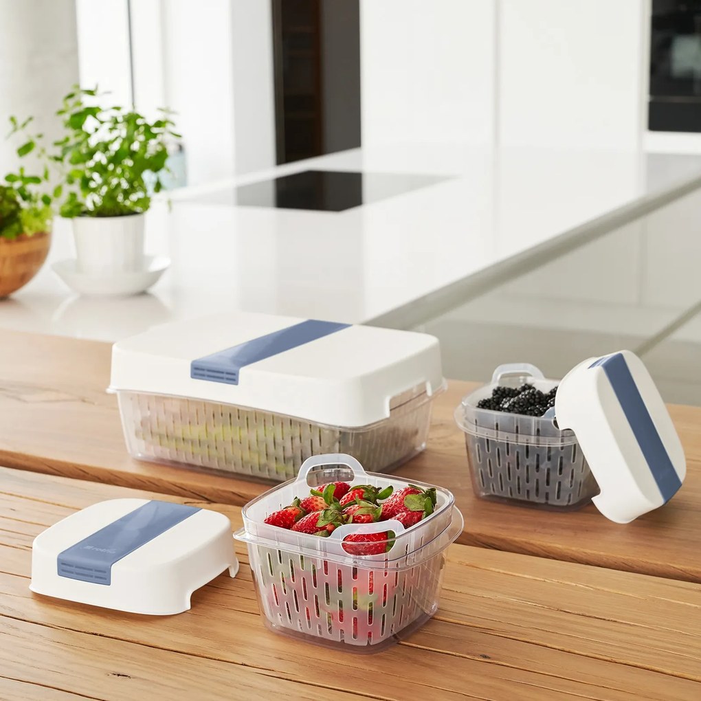 Rotho Špeciálny box na ovocie a zeleninu, s ventiláciou a filtrom, do chladničky, Fridge Fresh, 6,4 l - modrý