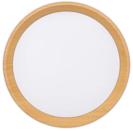 Solight WO8017 - LED Stm. strop. svietidlo LARIOS LED/48W/230V+DO pr.39 cm biela