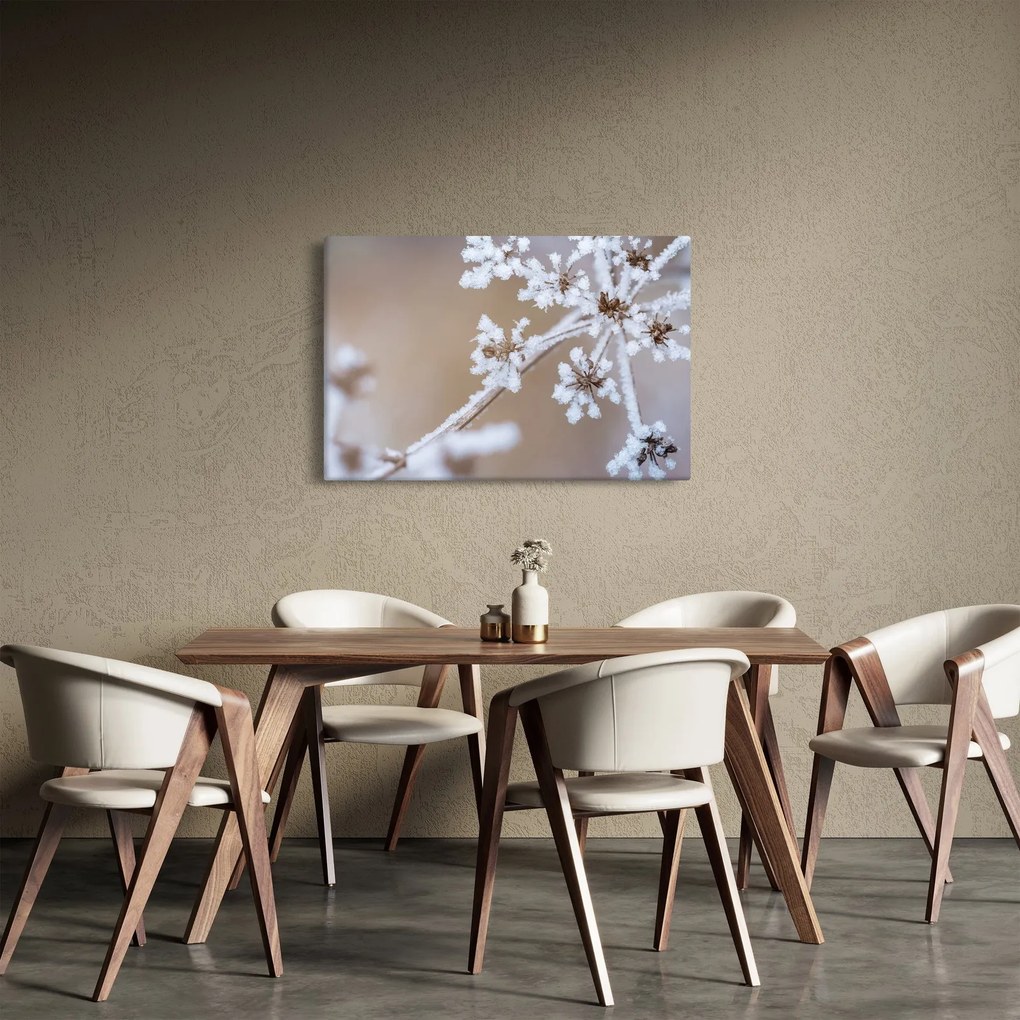 Obraz - Mráz (90x60 cm)