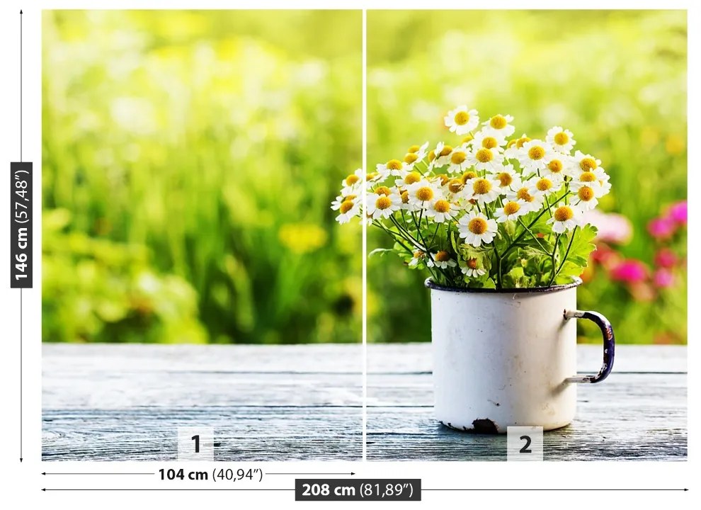 Fototapeta Vliesová Kvety sedmokrásky 104x70 cm