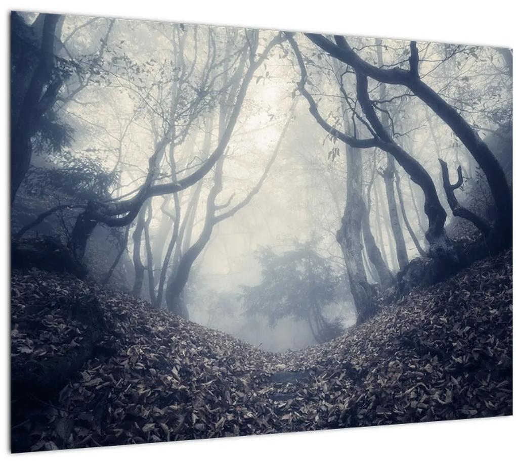 Sklenený obraz - Les v hmle (70x50 cm)