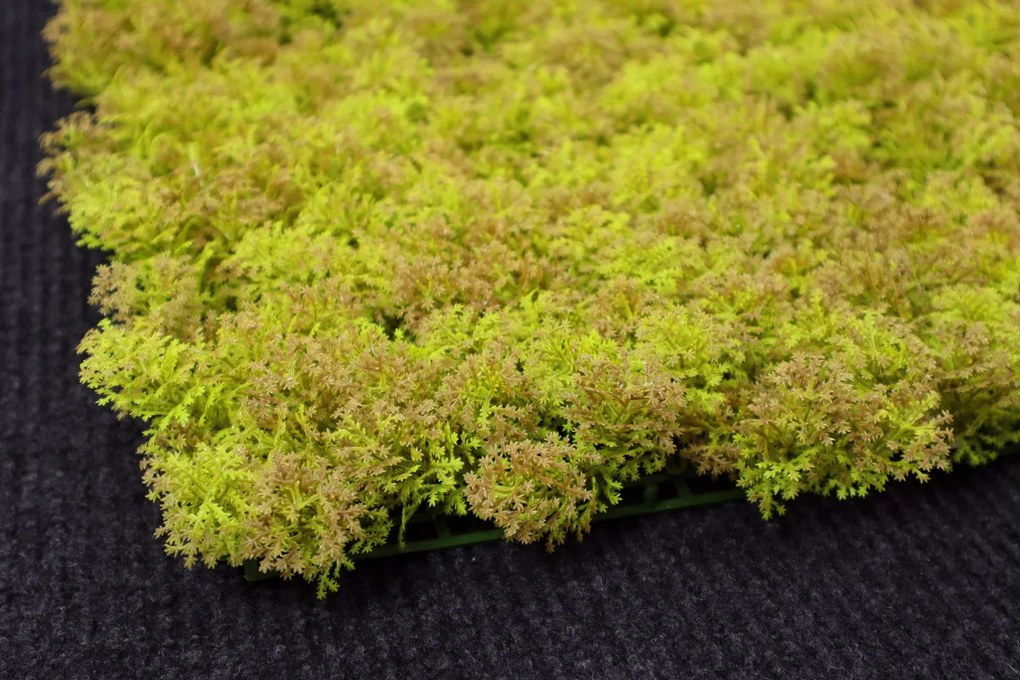 Umelý rastlinný panel KATE MOSS 50 x 50 cm - Panel 50x50 Europe Grass