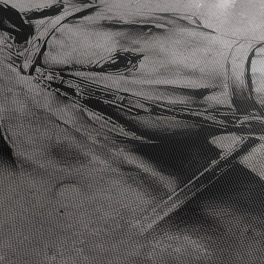 Obraz - Portrét koňa (70x50 cm)
