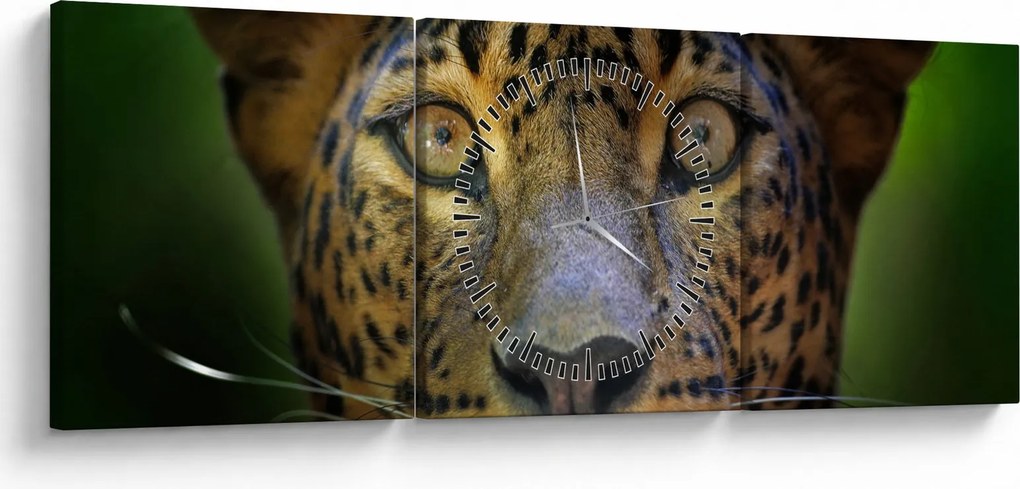 Obraz - Portrét leoparda, Sri Lanka (s hodinami) (90x30 cm)