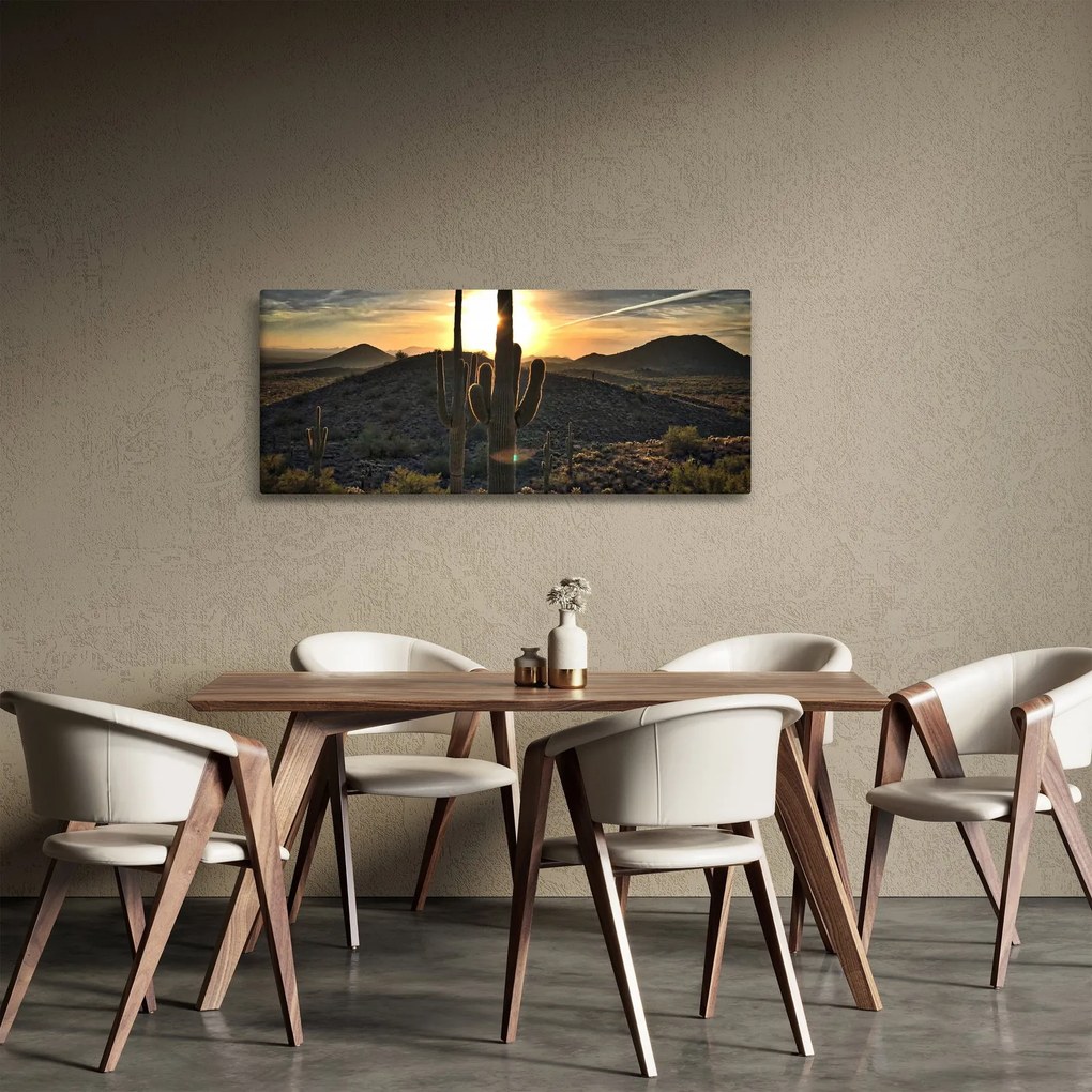 Obraz - kaktusy v slnku (120x50 cm)