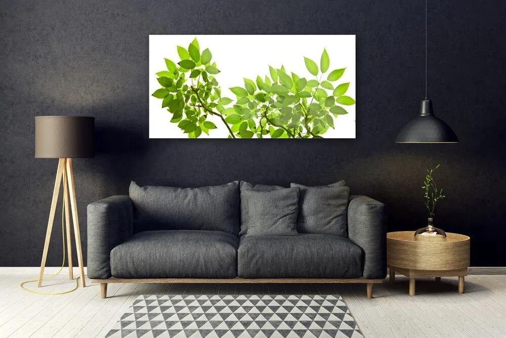 Obraz plexi Vetva listy rastlina príroda 120x60 cm