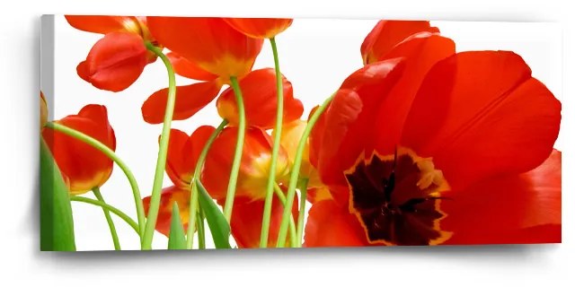 Sablio Obraz Tulipány - 110x50 cm