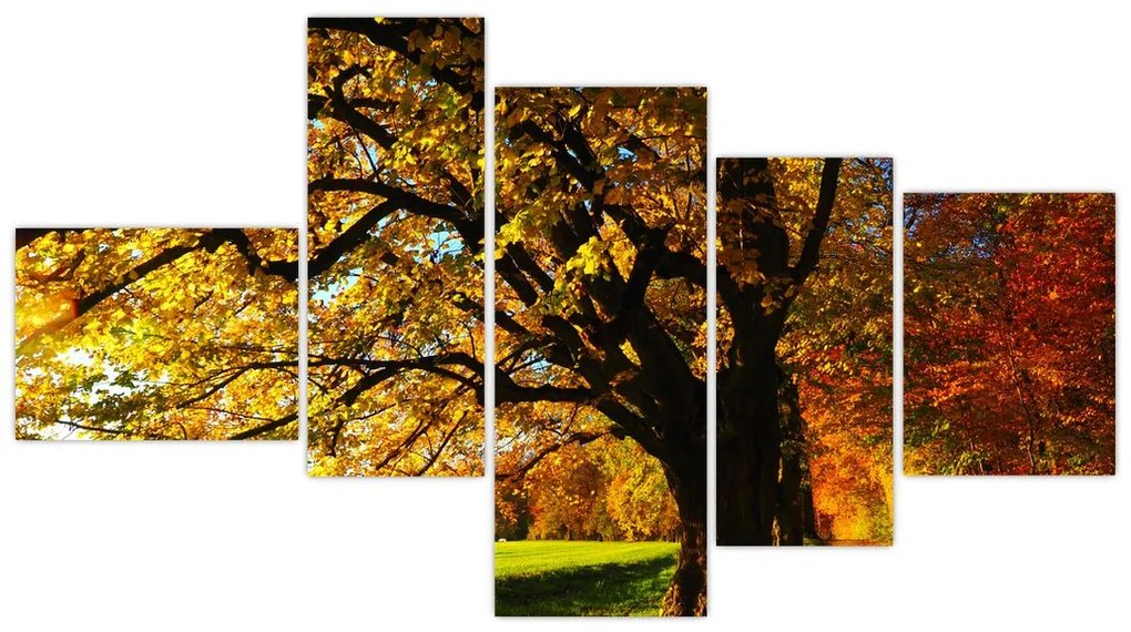 Obraz jesennej krajiny