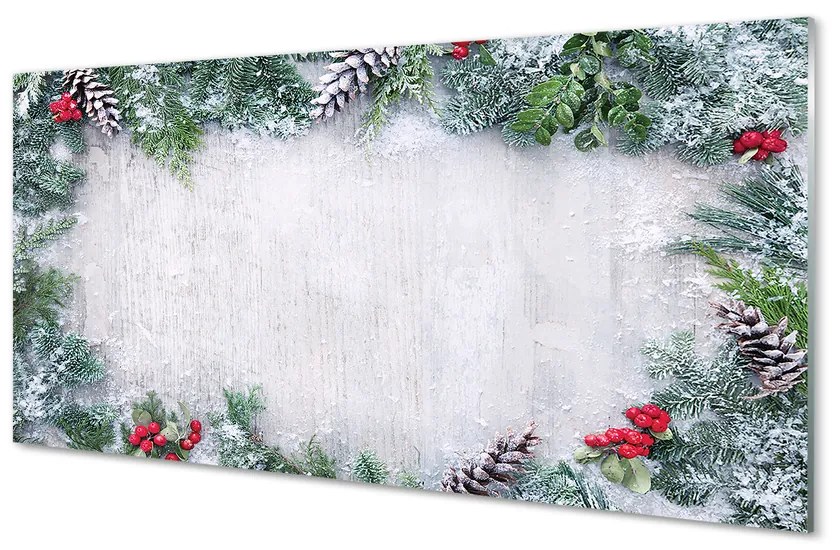 Obraz na akrylátovom skle Snehové šišky, vetvičky 125x50 cm
