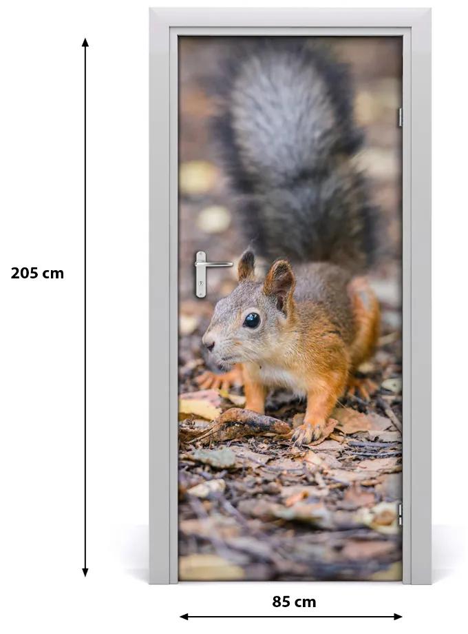 Samolepiace fototapety na dvere Veverička v lezie 85x205 cm