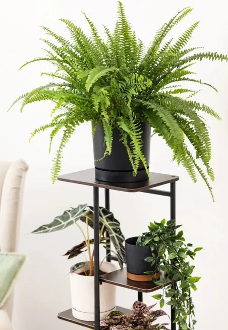 Stojan na kvety MONDO čierny