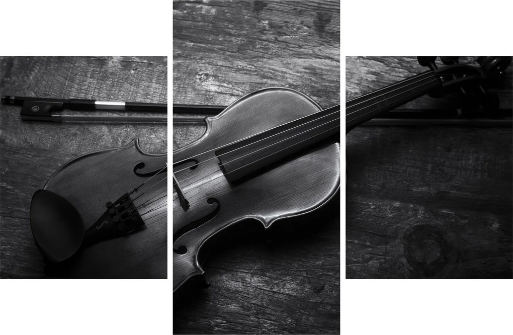 Obraz - Viola (90x60 cm)