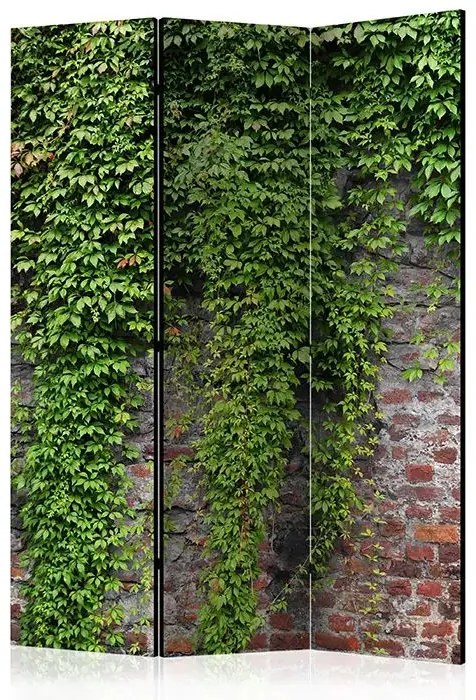 Paraván - Brick and ivy [Room Dividers] Veľkosť: 135x172, Verzia: Obojstranný