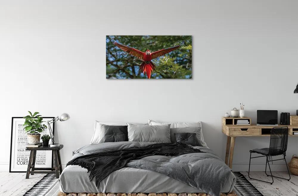 Obraz na plátne ara papagáj 140x70 cm
