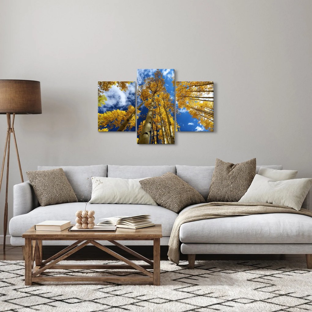 Obraz - Aspen (90x60 cm)