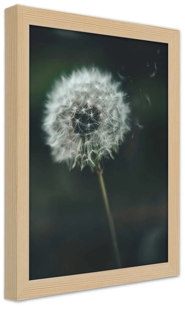 Gario Plagát Púpava vo vetre Farba rámu: Bez rámu, Rozmery: 70 x 100 cm