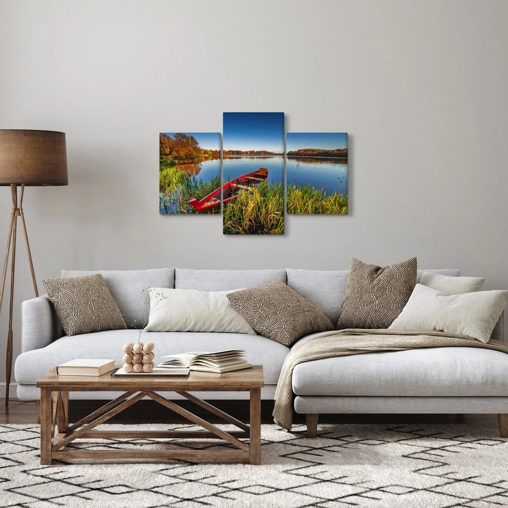 Obraz červené pramice (90x60 cm)