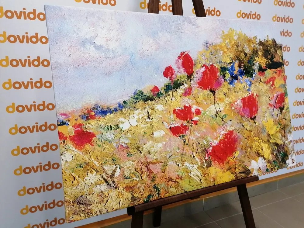 Obraz maľované maky na lúke - 90x60