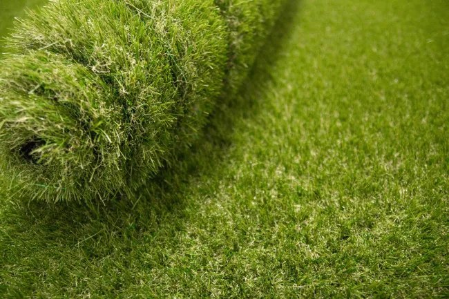 Umelá tráva Star zelená