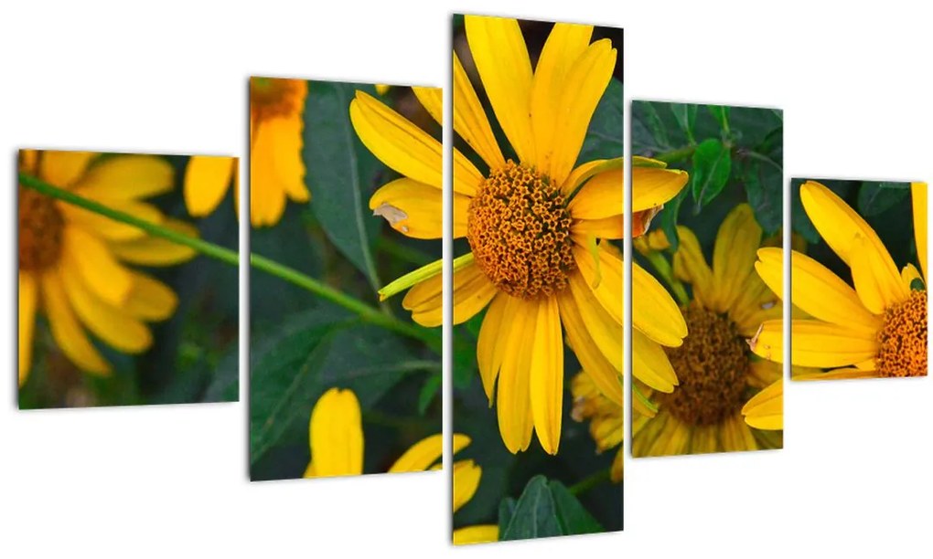 Obraz žltých kvetov (125x70 cm), 40 ďalších rozmerov