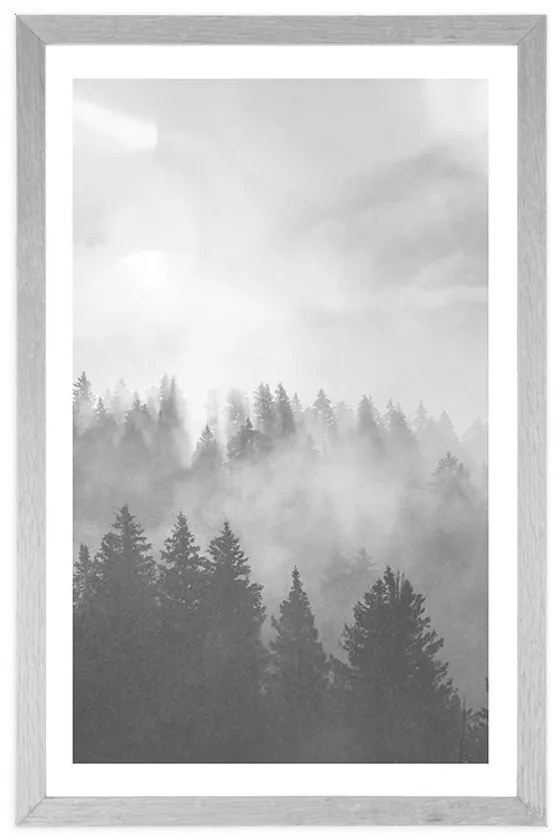 Plagát s paspartou hmla nad lesom v čiernobielom prevedení - 30x45 white