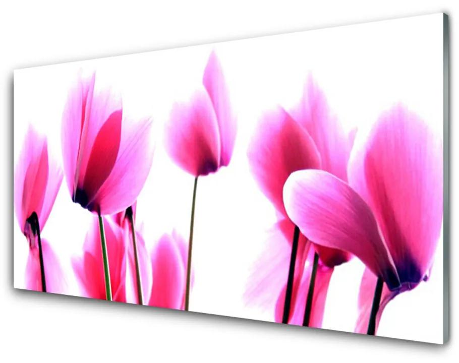 Obraz na skle Kvetiny rastlina 100x50cm