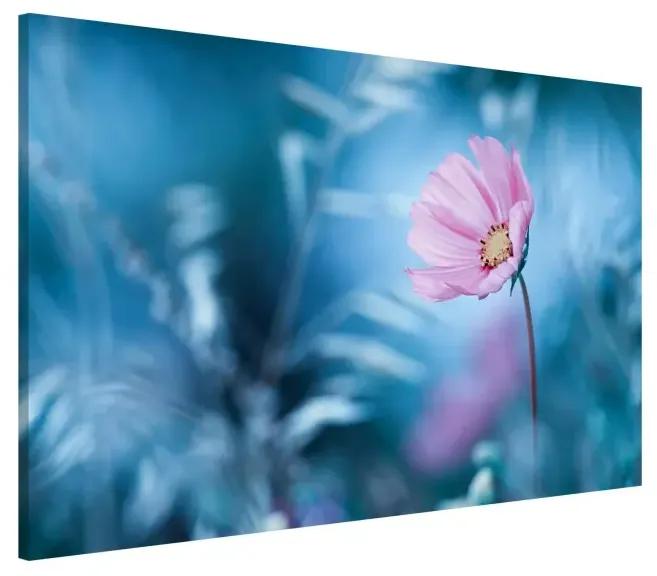 Magnetické obrazy Kvet v pastelových farbách