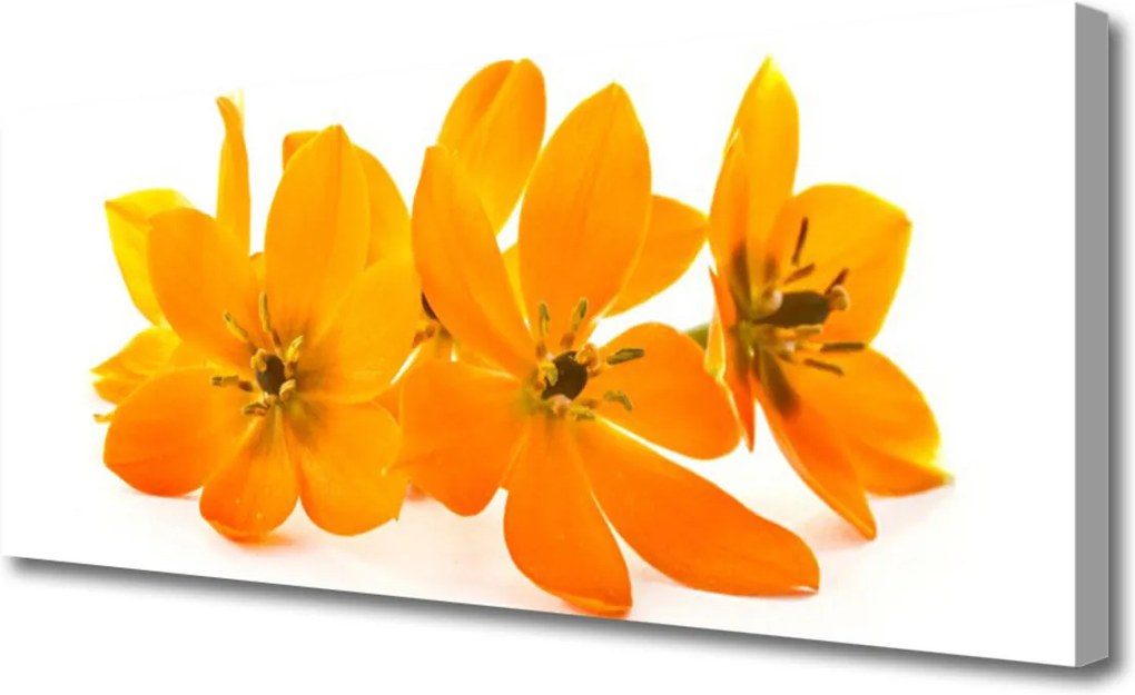 Obraz na plátně oranžové Kvety