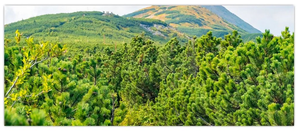 Obraz - Babi Hora, Poľsko (120x50 cm)