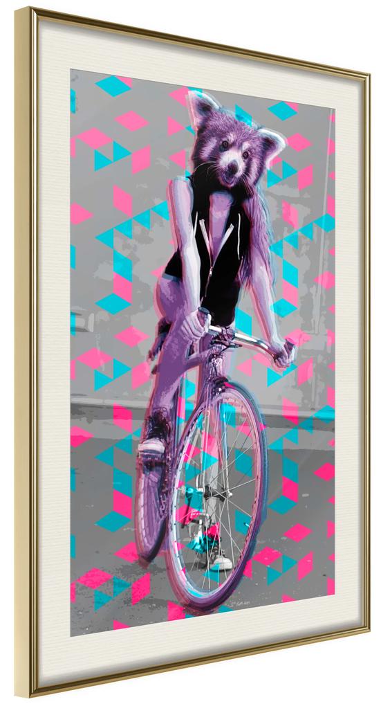 Artgeist Plagát - Raccoon On The Bike [Poster] Veľkosť: 30x45, Verzia: Zlatý rám s passe-partout