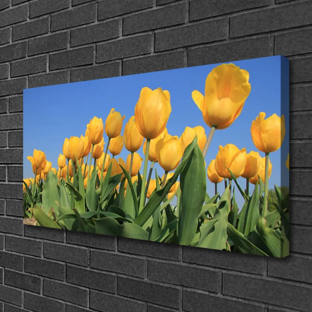 Obraz Canvas Tulipány kvety rastlina 100x50 cm