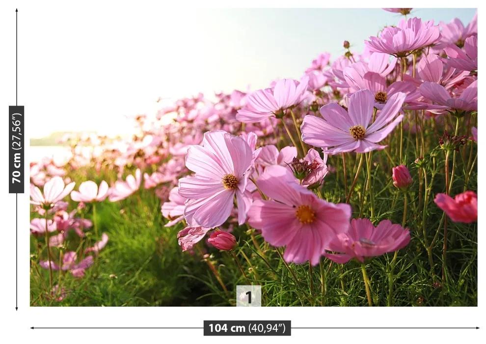 Fototapeta Vliesová Vesmír kvetina 104x70 cm