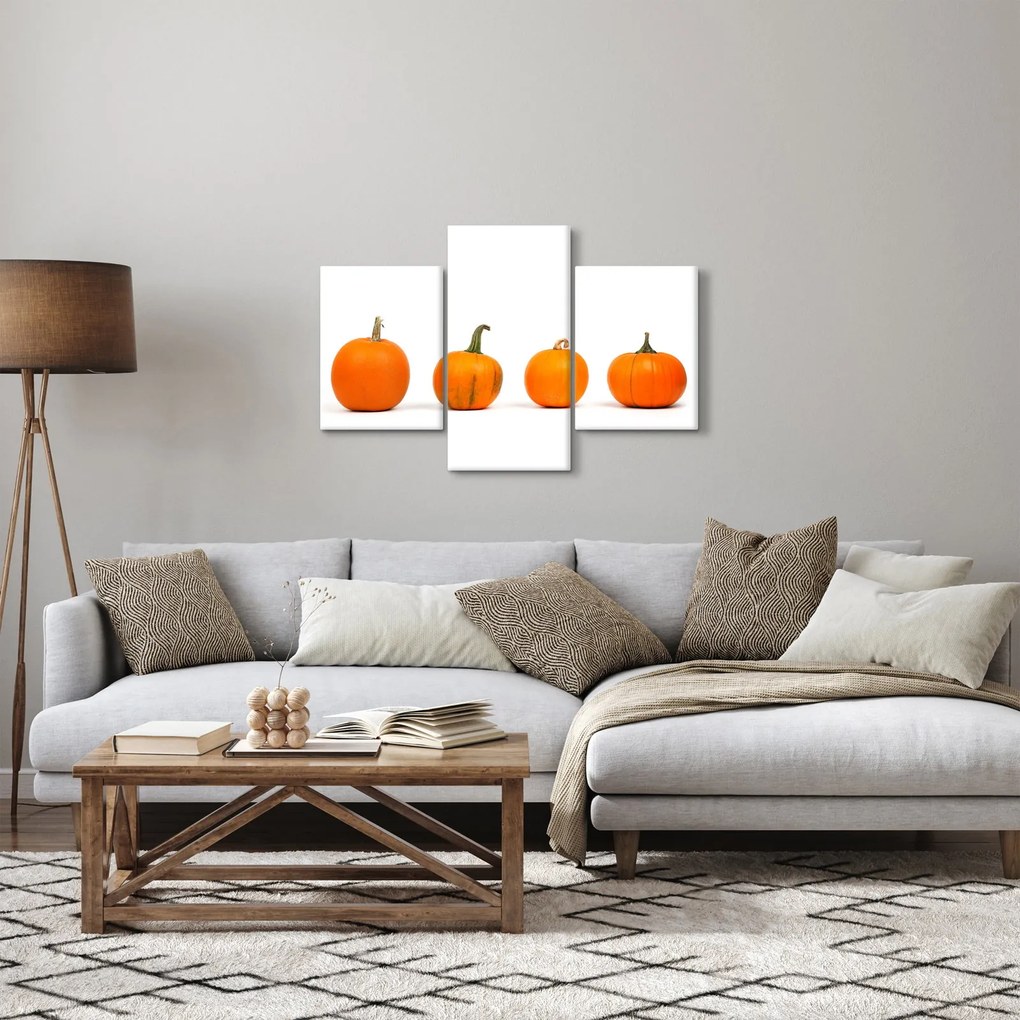 Obraz dyne (90x60 cm)