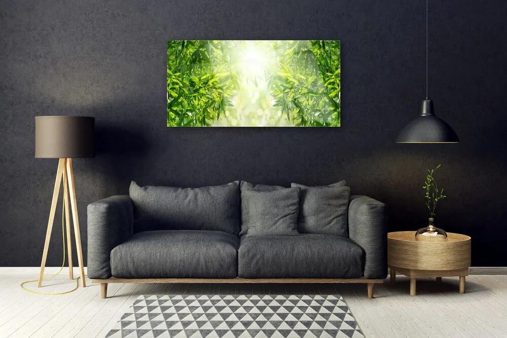 Obraz na skle Listy príroda rastlina 140x70 cm