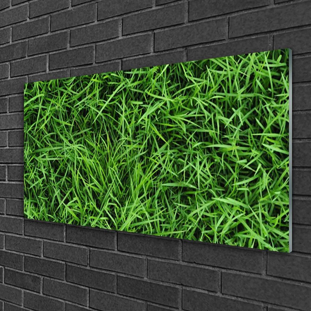 Obraz na skle Tráva trávnik 120x60 cm