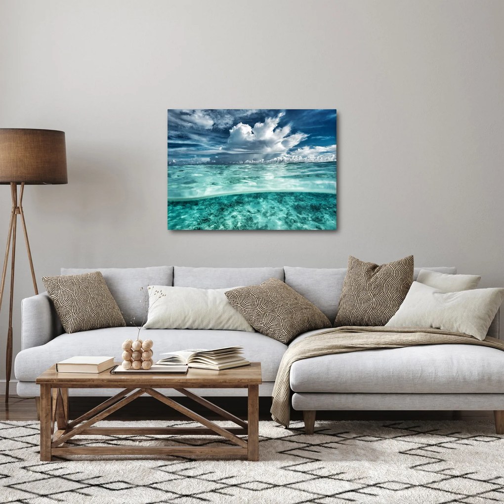 Obraz - Pohľad pod morskú hladinu (70x50 cm)