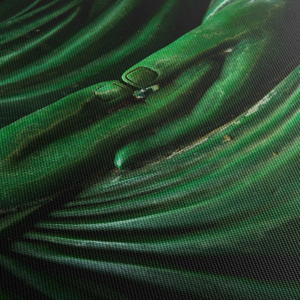 Obraz - Ruka Budhu (70x50 cm)