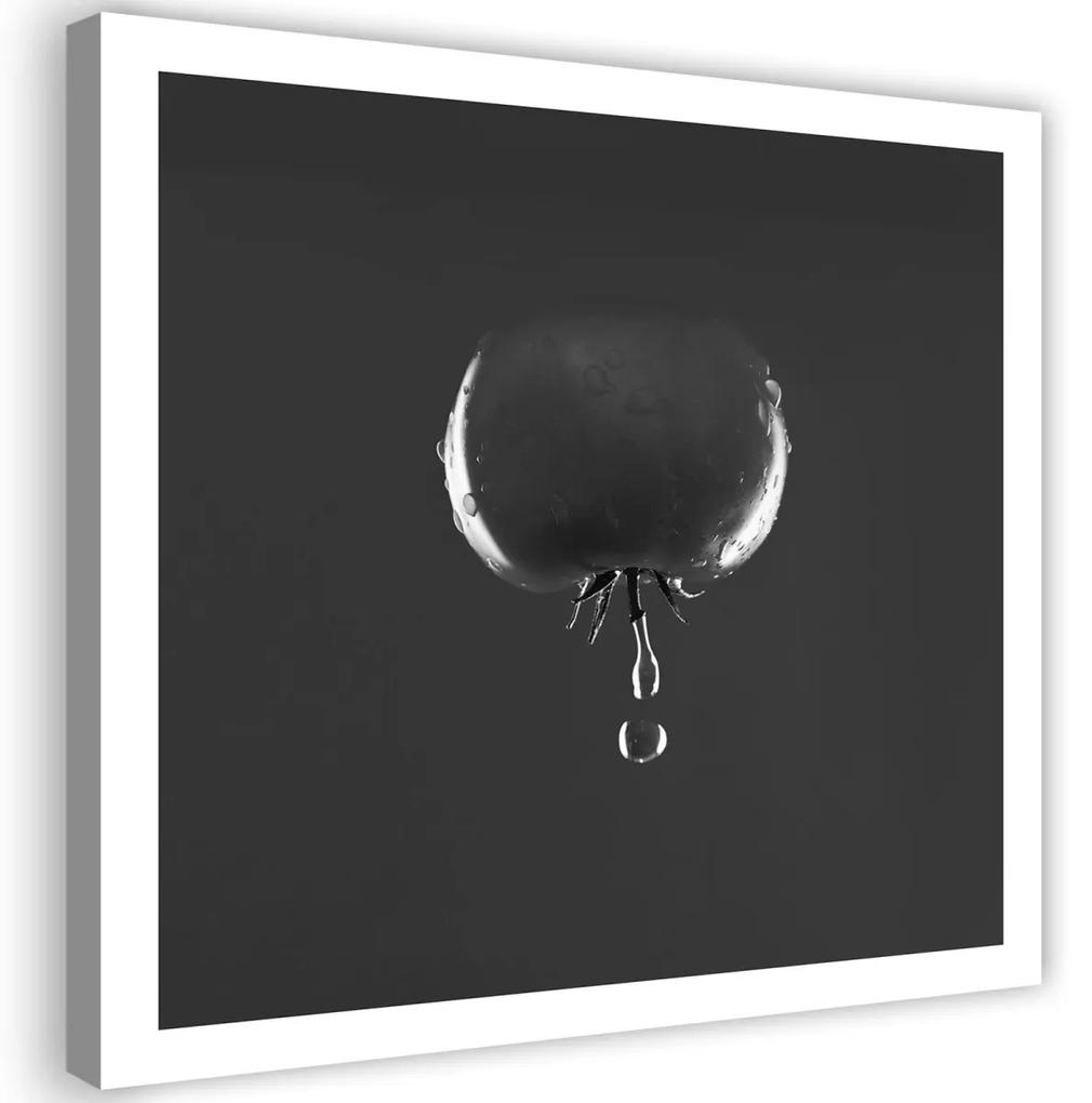 Obraz na plátně Rajče Zelenina Kapka vody - 50x50 cm