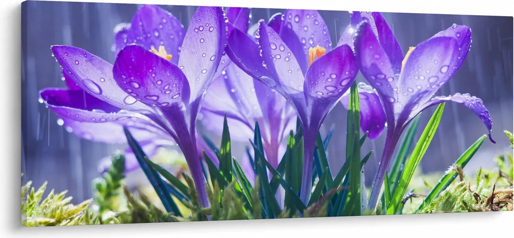 Obraz kvetov v daždi (120x50 cm)