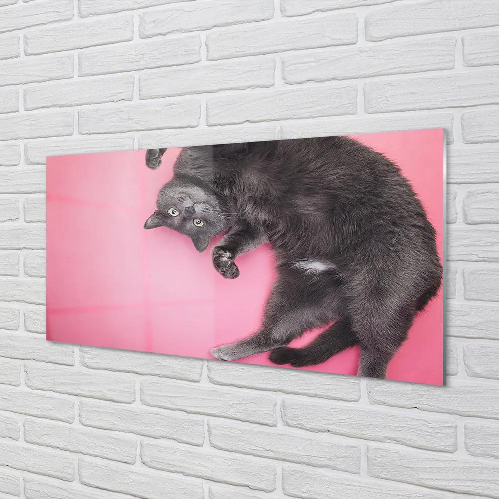 Obraz na akrylátovom skle Ležiace mačka 125x50 cm