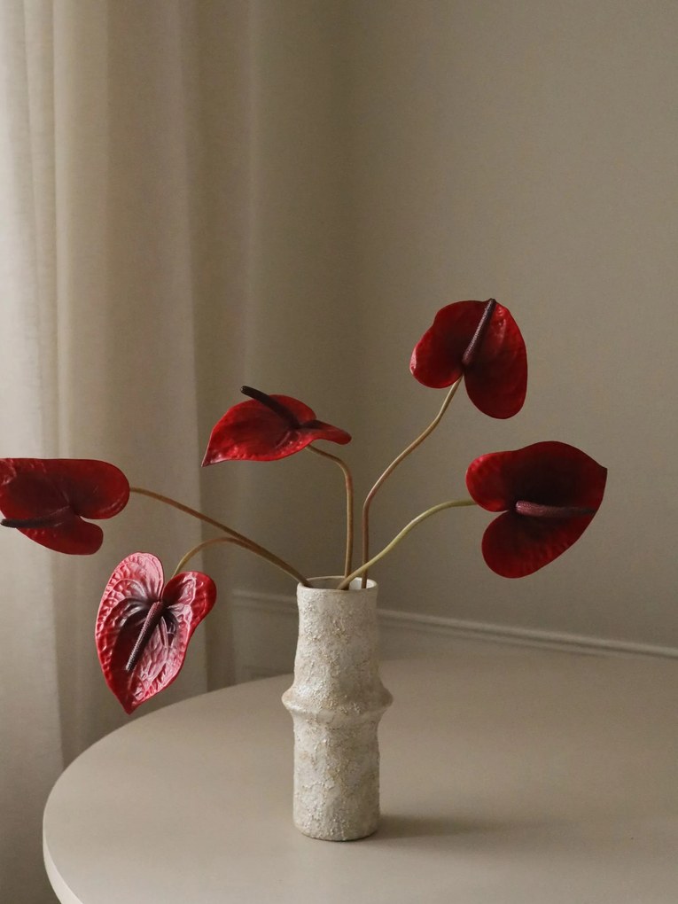 Rastlinná dekorácia Still Red