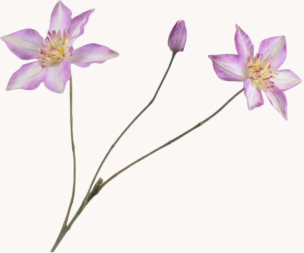 Rastlinné dekorácie Clematis, 2 ks