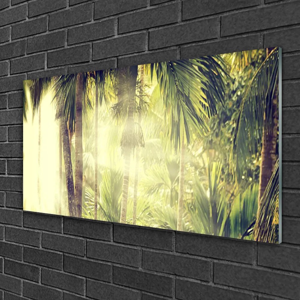 Skleneny obraz Les palmy stromy príroda 125x50 cm