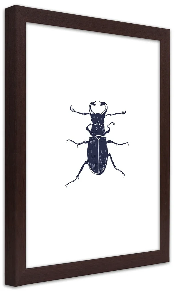 Gario Plagát Čierny chrobák Farba rámu: Bez rámu, Rozmery: 30 x 45 cm