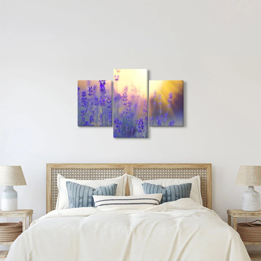 Obraz - Levanduľa (90x60 cm)