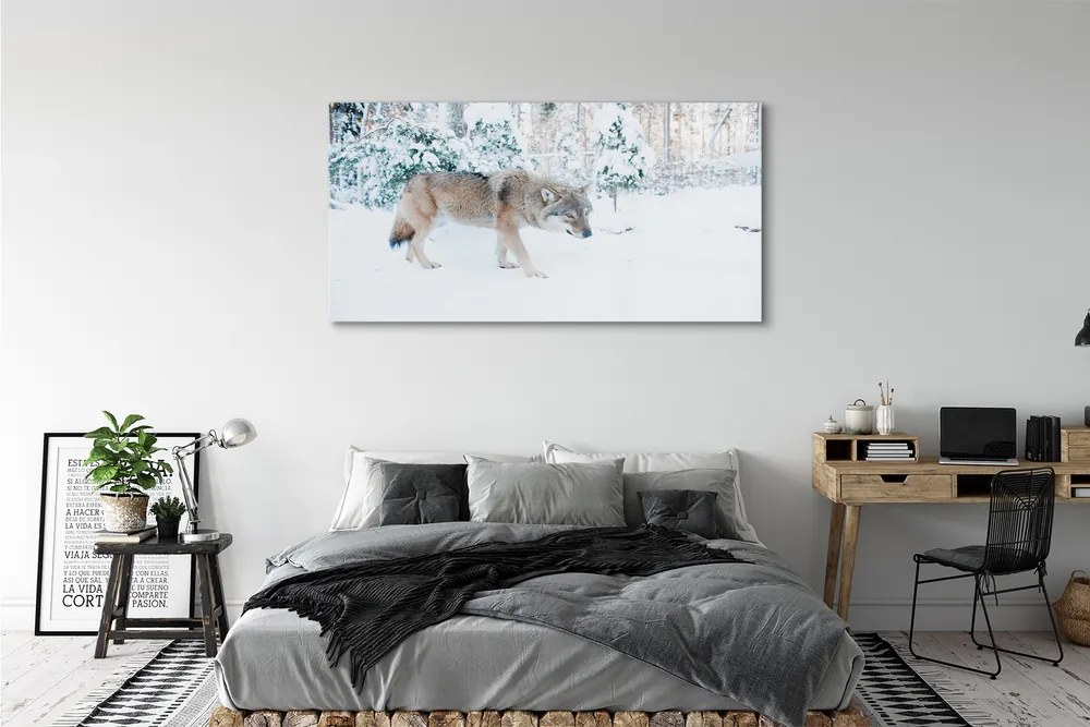 Obraz na akrylátovom skle Vlk v zime lese 140x70 cm