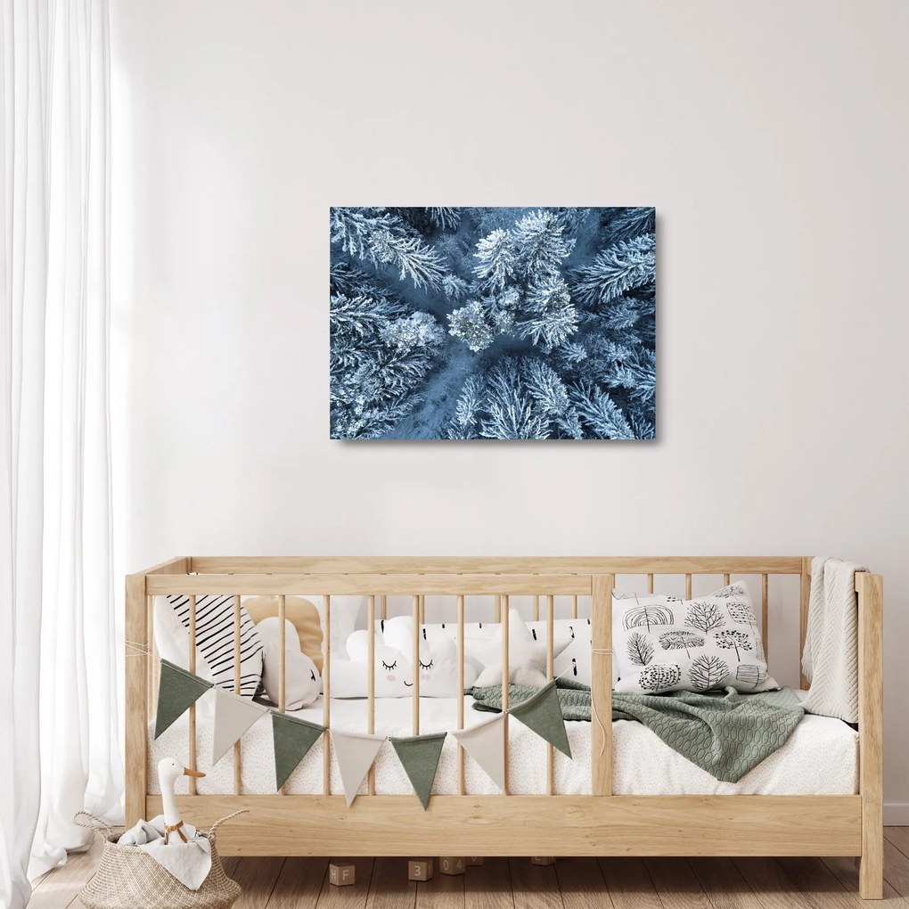 Sklenený obraz - Zasnežený les (70x50 cm)