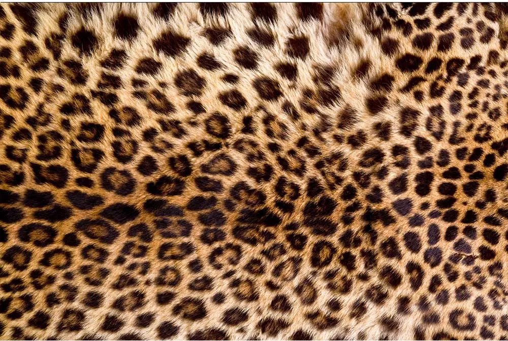 Dimex SK Fototapeta Leopardia koža MS-0184, 3 rôzne rozmery S - š-150 x v-250 cm