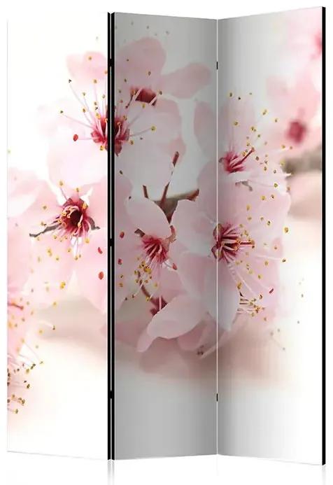 Paraván - Cherry Blossom [Room Dividers] Veľkosť: 135x172, Verzia: Akustický