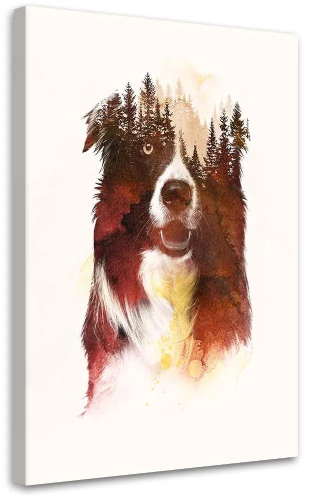Gario Obraz na plátne Pes v noci - Robert Farkas Rozmery: 40 x 60 cm